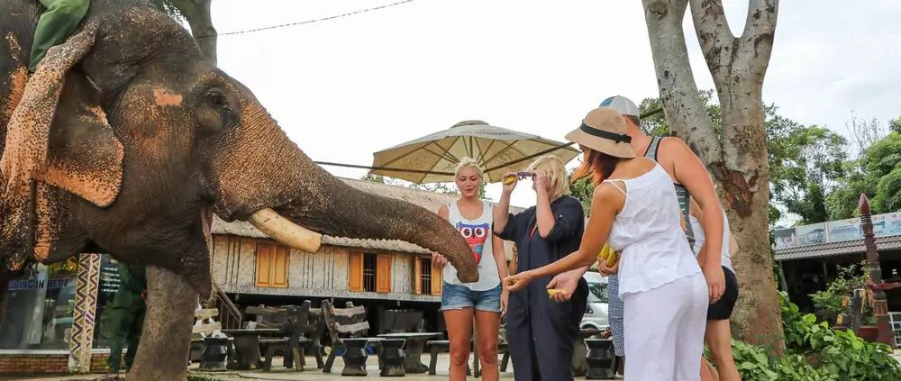 Dive into the cultural depth of Dak Lak Travel
